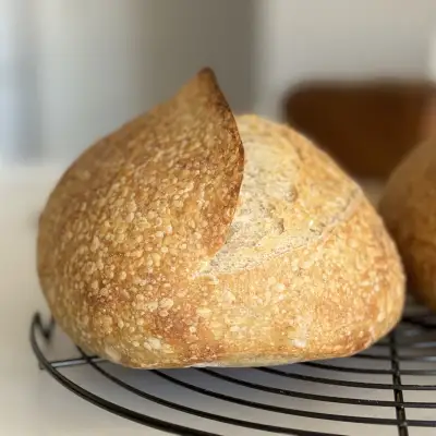 Bread photo